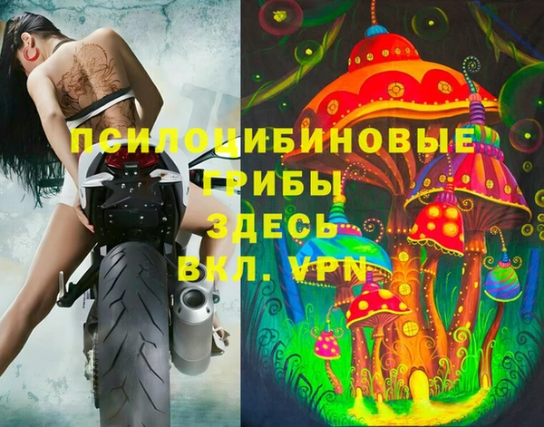 ПСИЛОЦИБИНОВЫЕ ГРИБЫ Аркадак