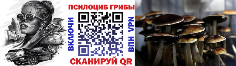 Псилоцибиновые грибы Psilocybe  KRAKEN ссылки  Белозерск  наркотики 